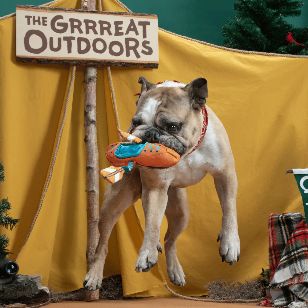 Bark Off-Track Kayak Dog Toy - Image 2