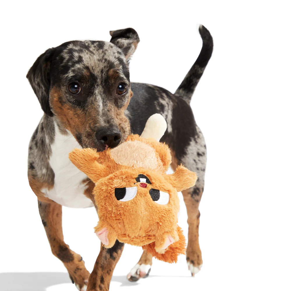 Bark Pearl Squirrel Dog Toy - Image 3