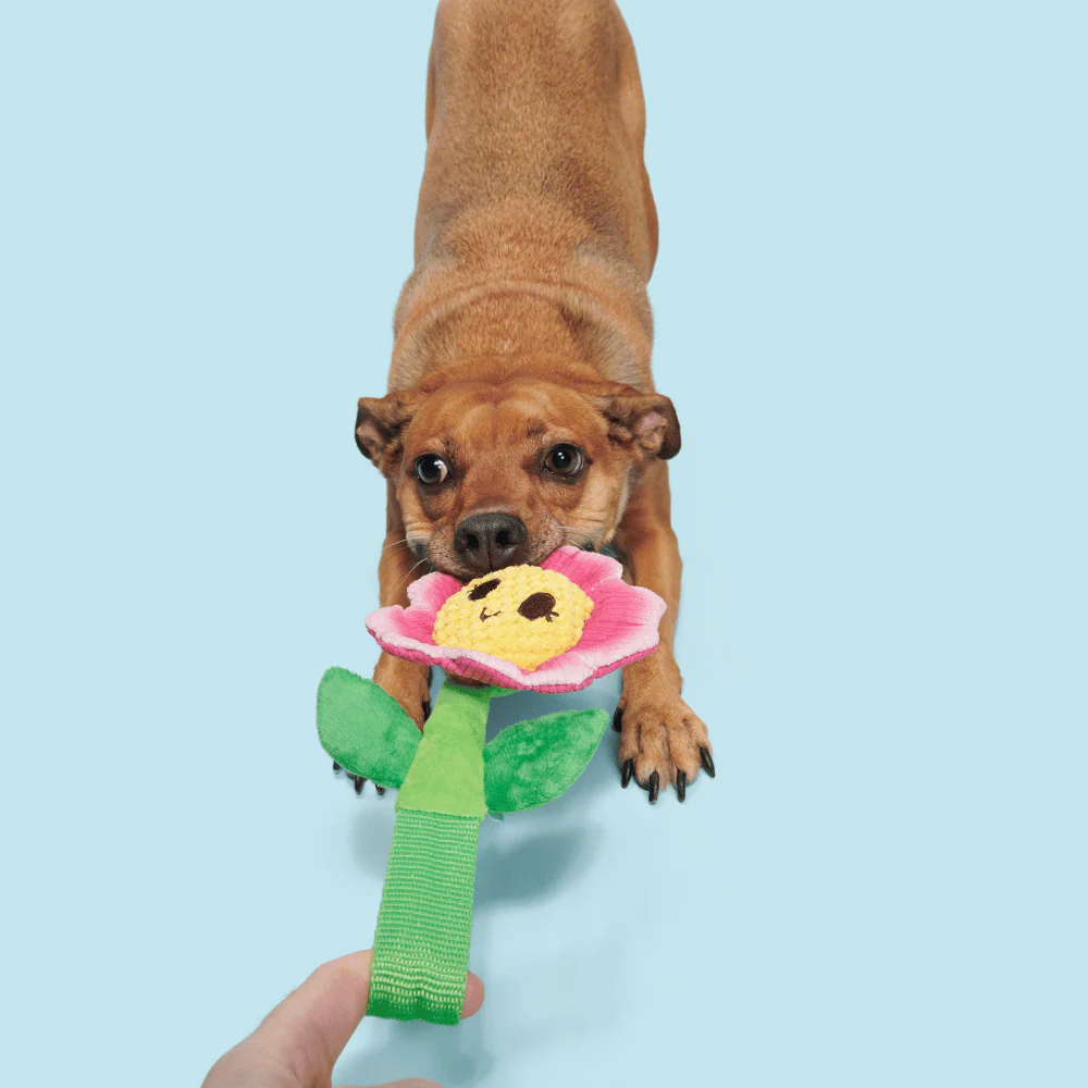 Bark Penny Pechewnia Dog Toy - Image 3