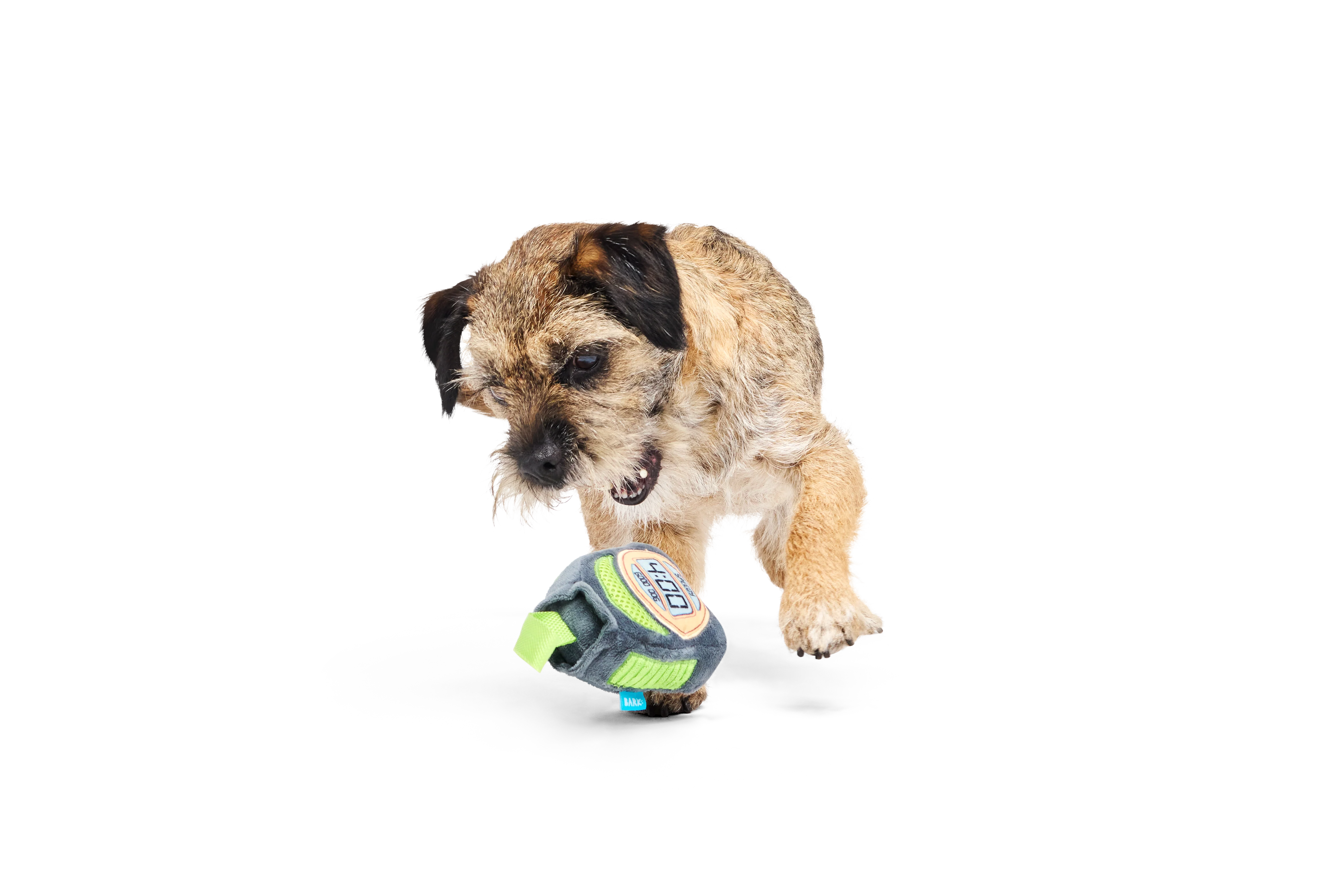 Bark Crufts Personal Beast Play Timer