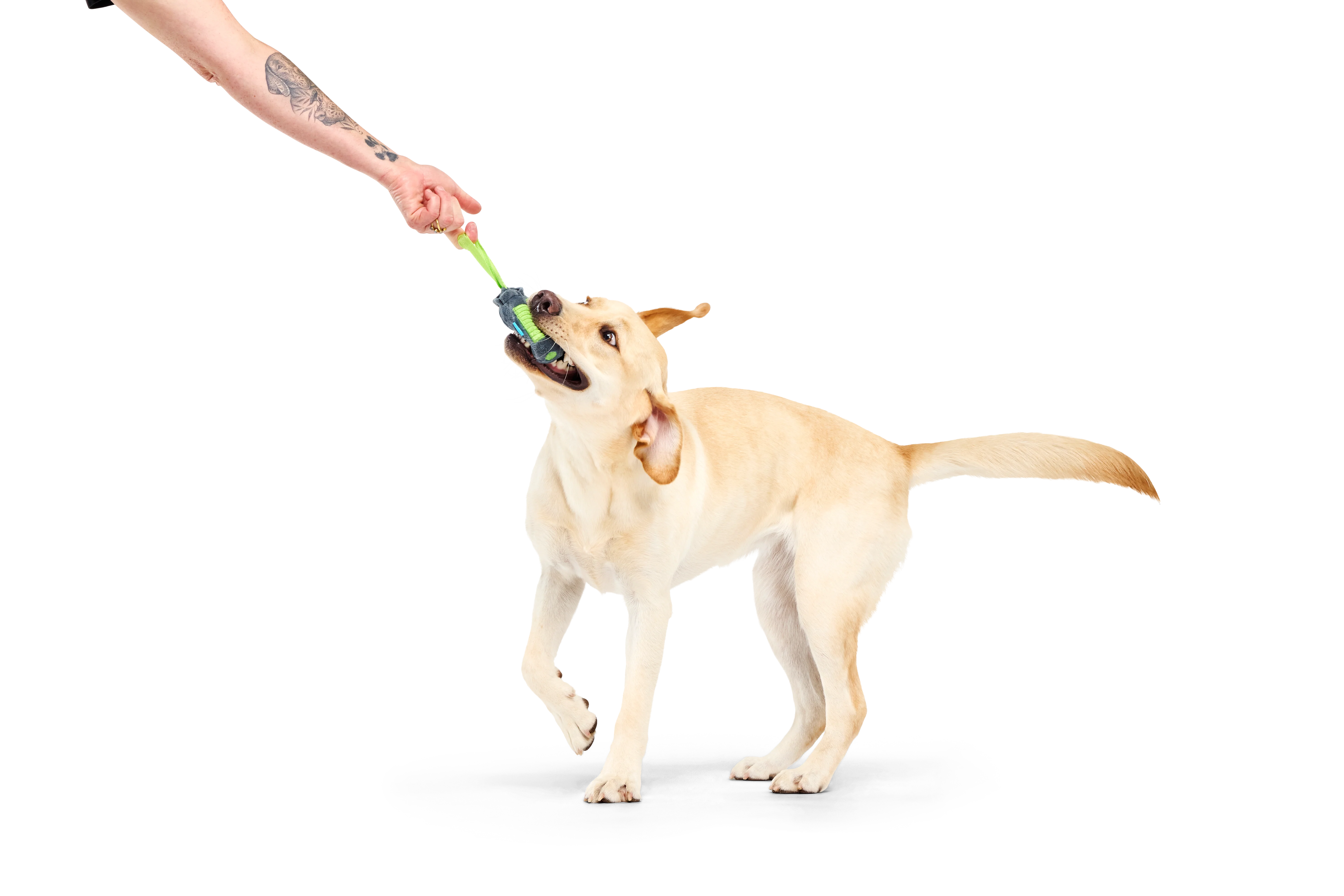 Bark Crufts Personal Beast Play Timer - Image 2