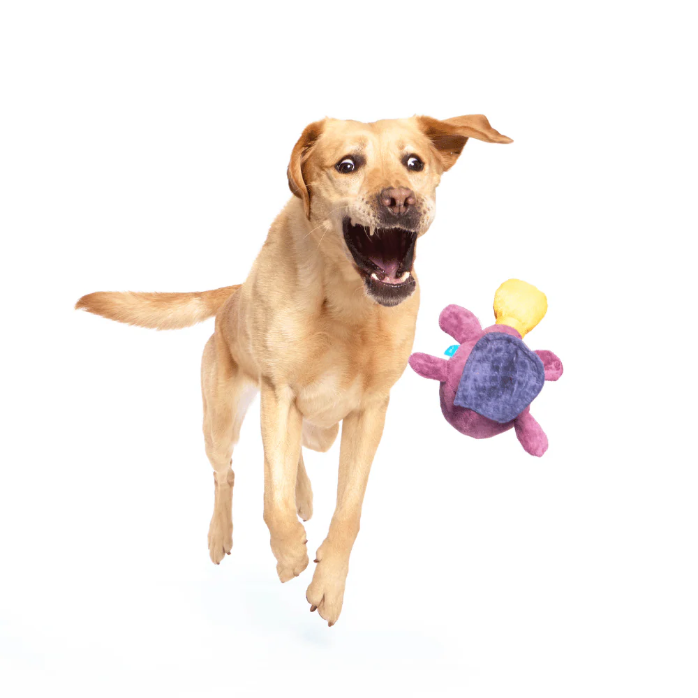 Bark Pippi Platypus Dog Toy - Image 2