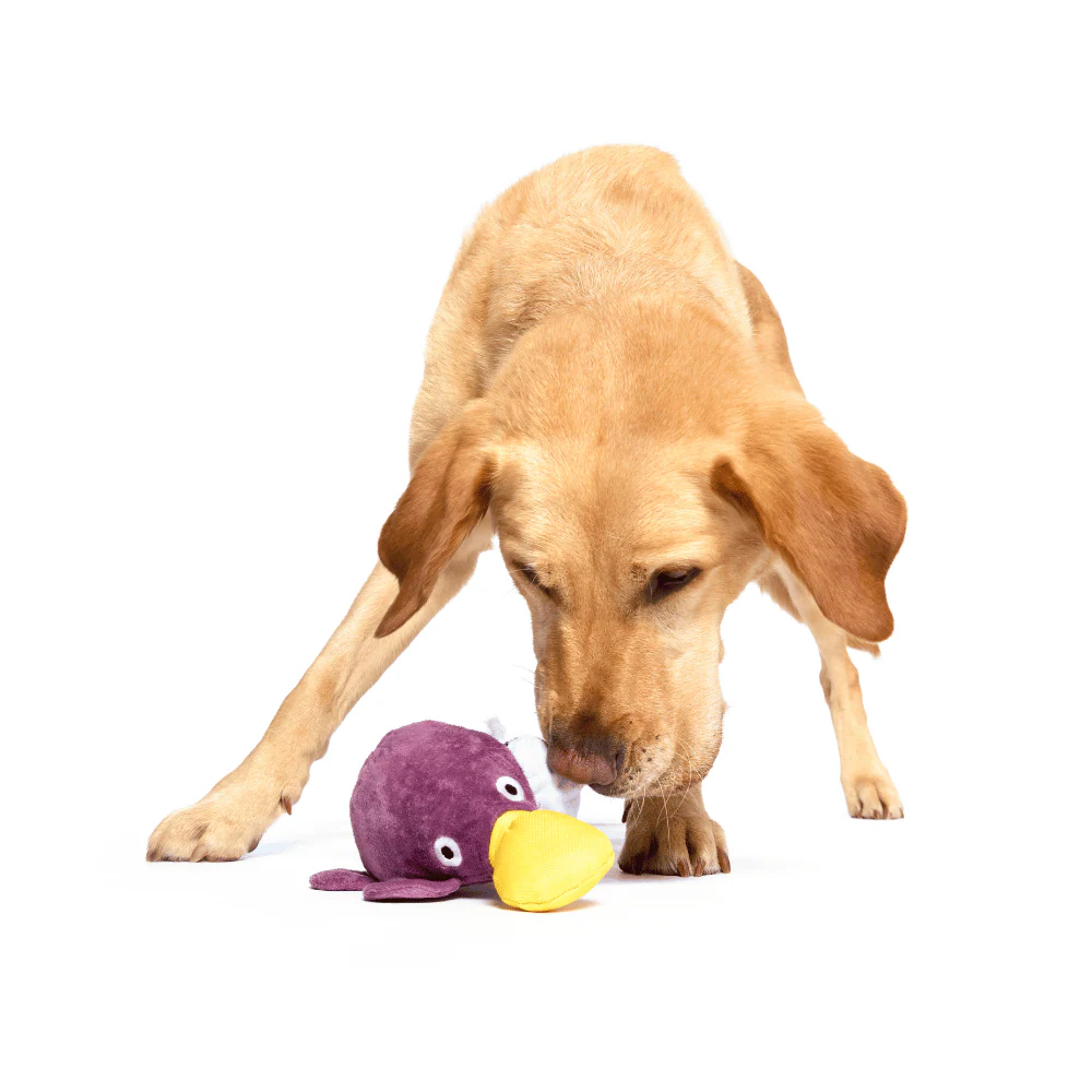 Bark Pippi Platypus Dog Toy - Image 3