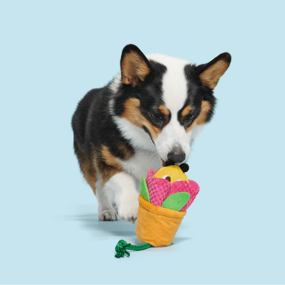 Bark Pollen Nate Dog Toy - Image 2
