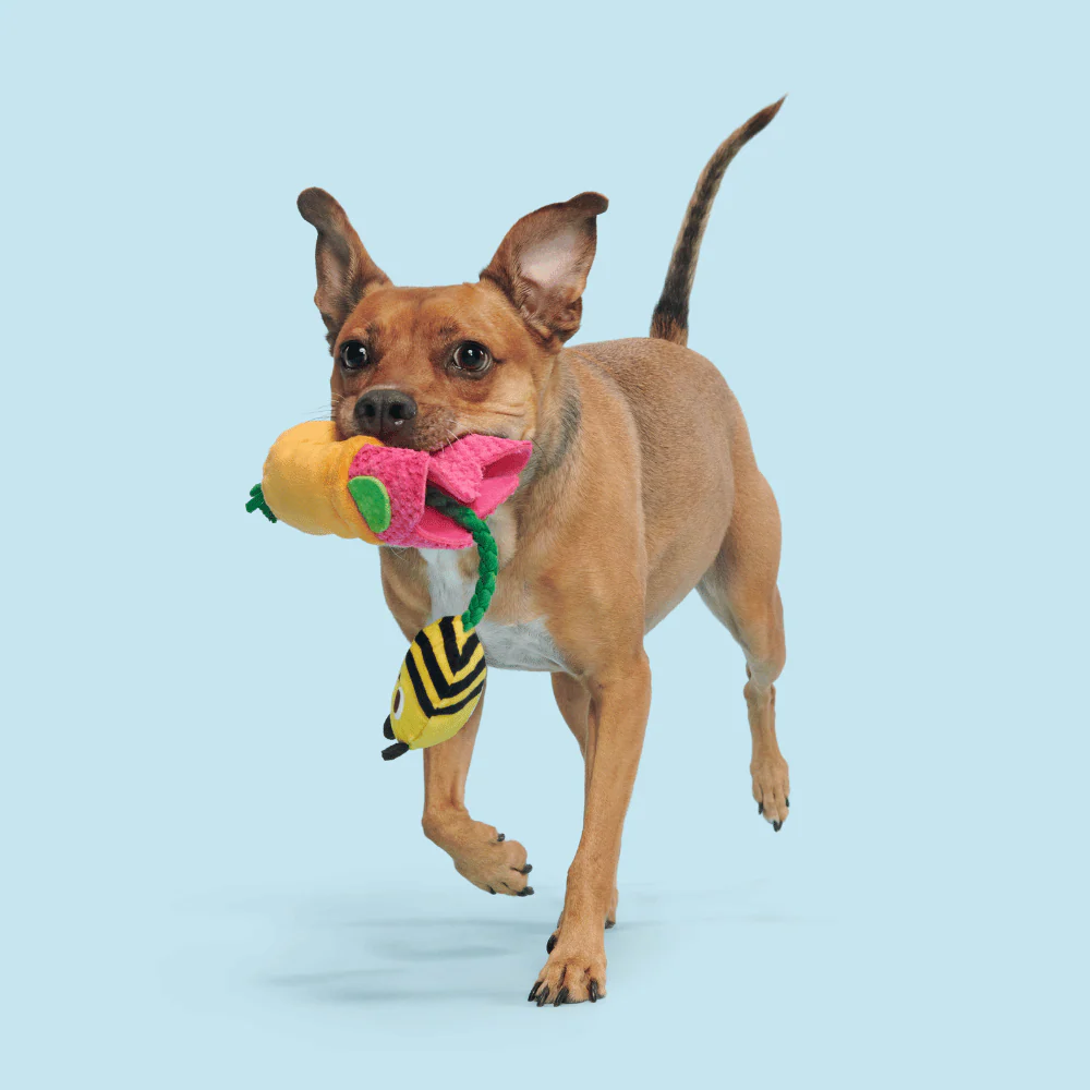 Bark Pollen Nate Dog Toy - Image 3