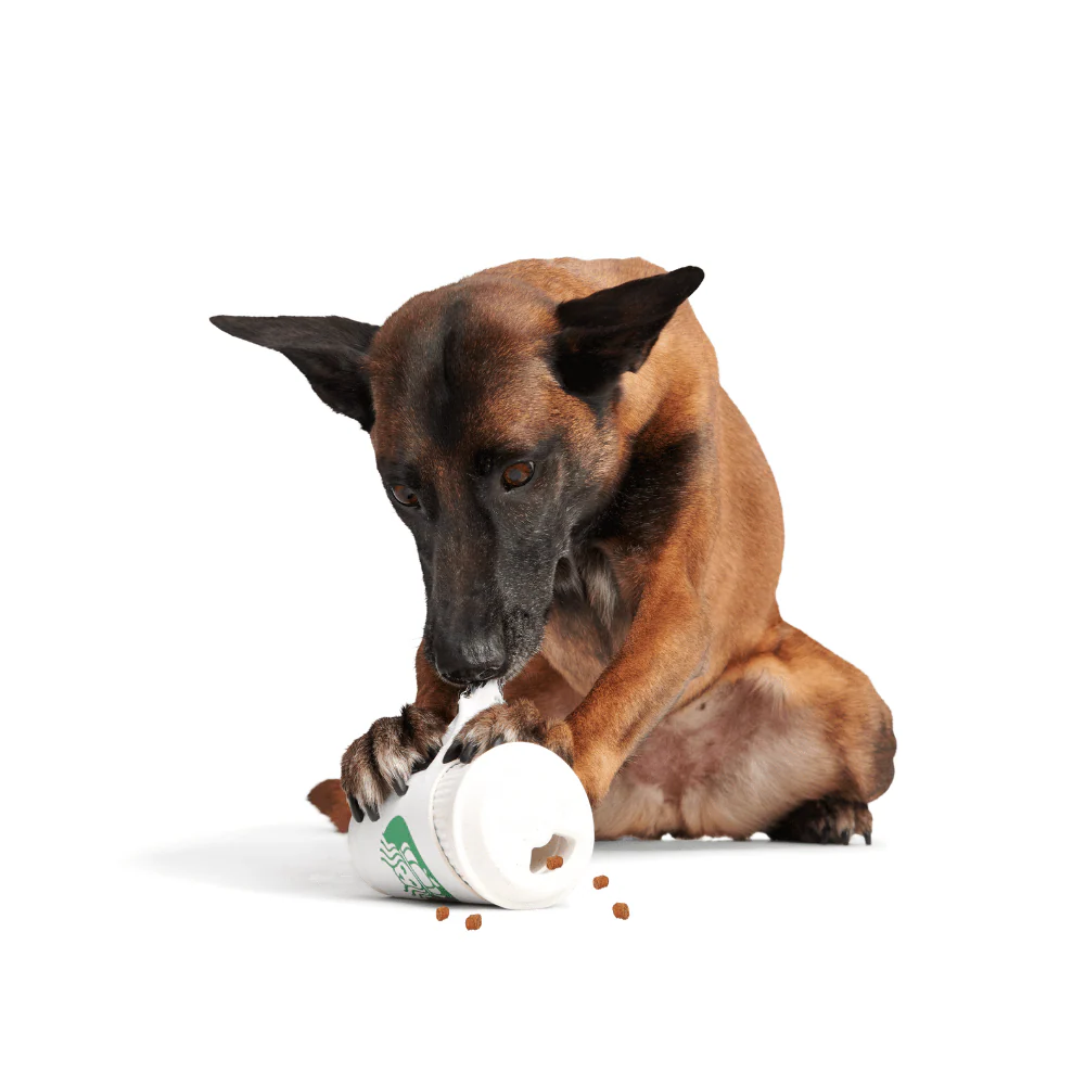 Bark Pupkin Spice Yappucino Dog Toy - Image 2
