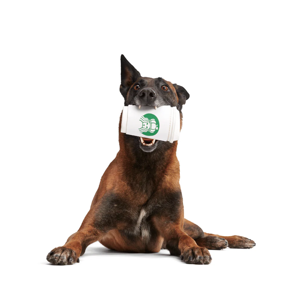 Bark Pupkin Spice Yappucino Dog Toy - Image 3