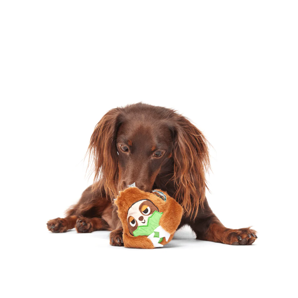 Bark Sonny The Sloth Dog Toy - Image 2
