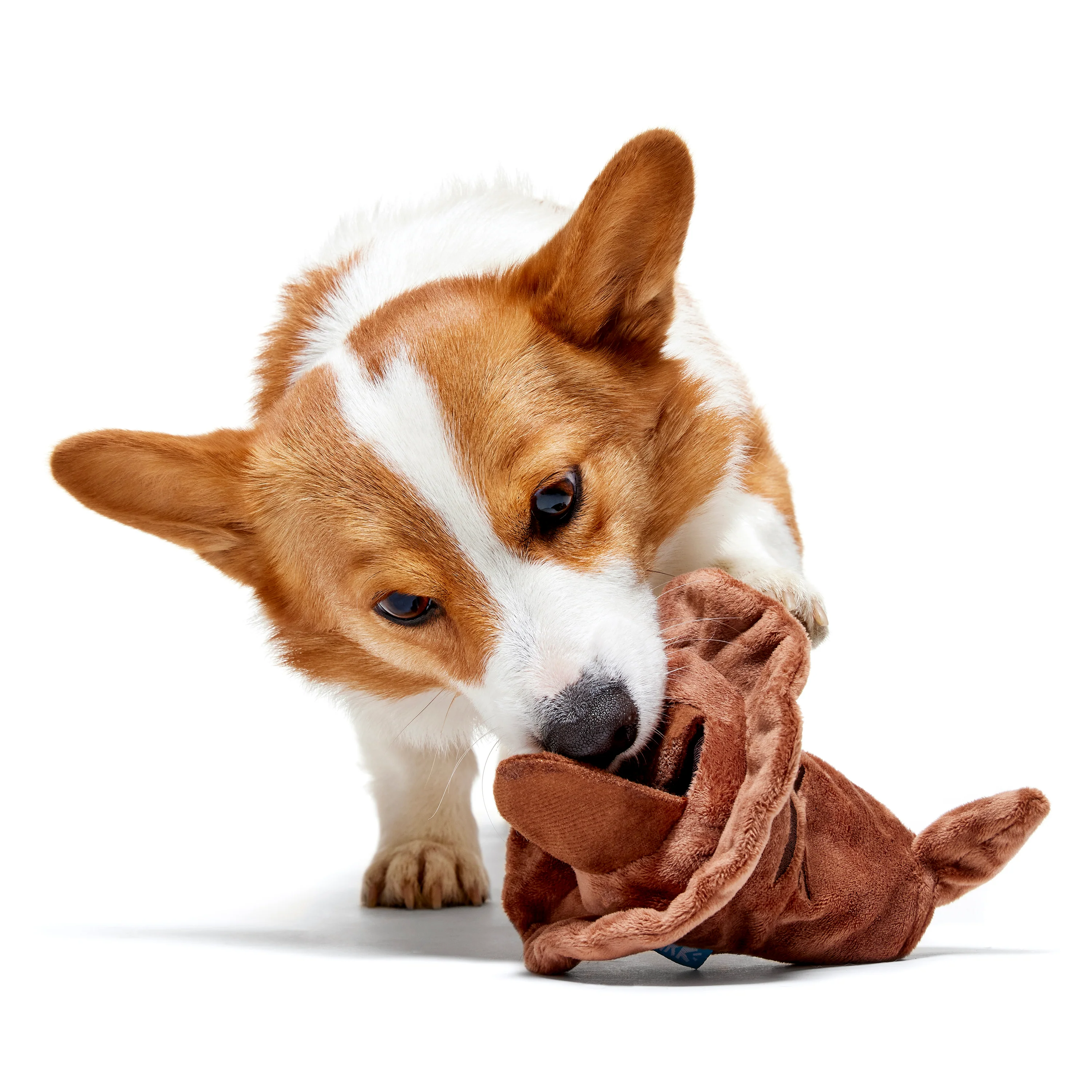 Bark Harry Potter Sorting Hat - Image 3