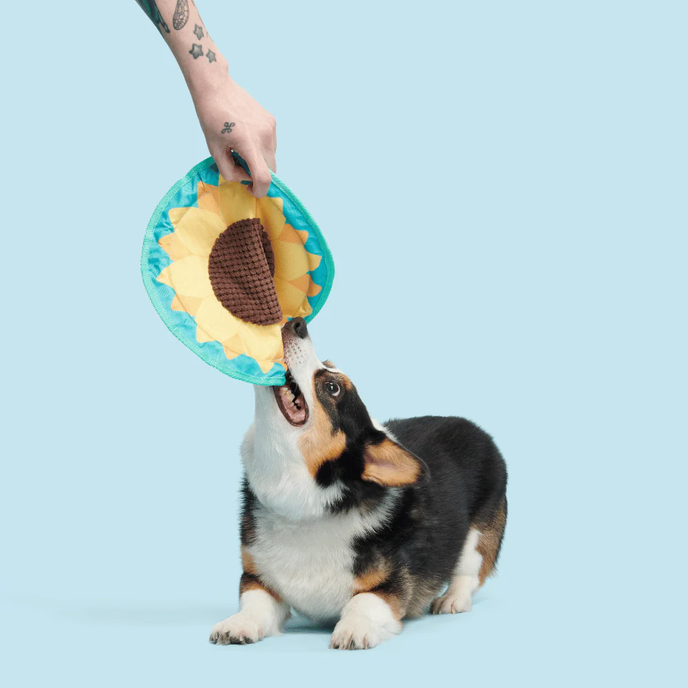 Bark Sunflower Flinger Dog Toy - Image 2