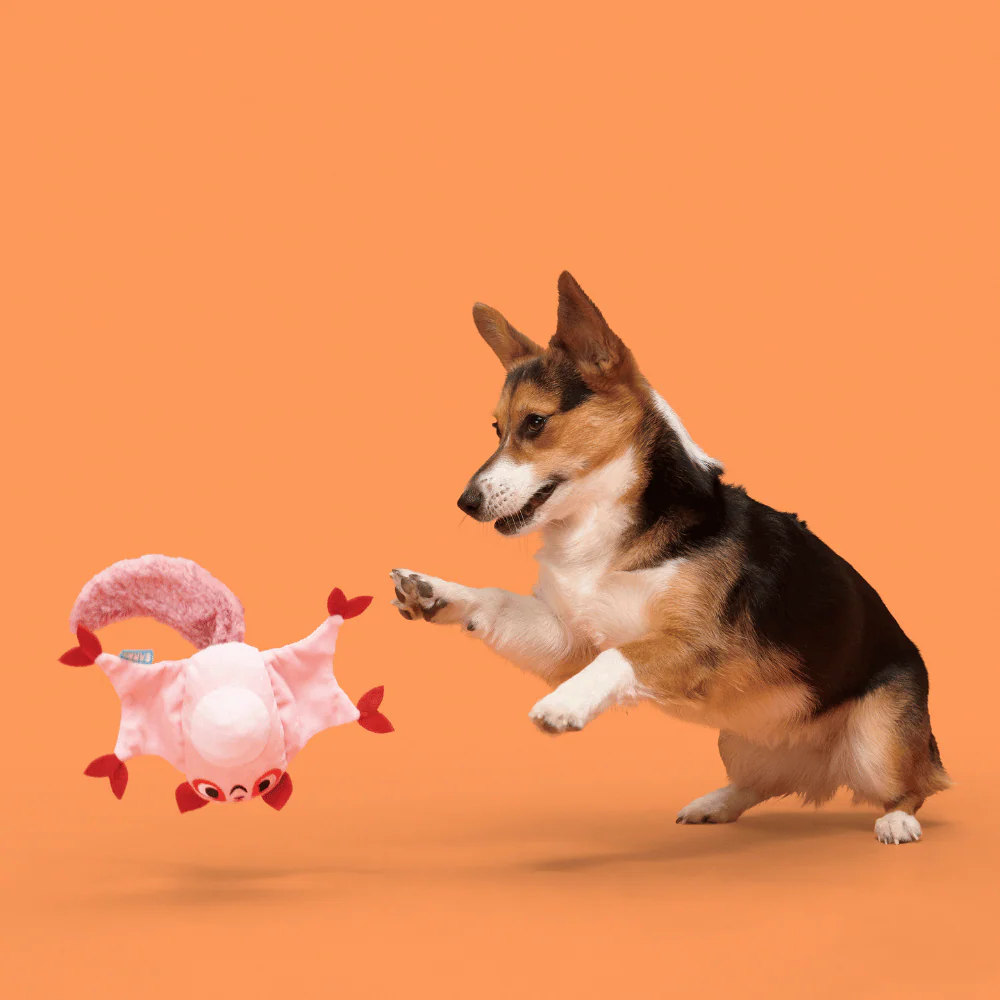 Bark Sydney Sugar Glider Dog Toy - Image 3