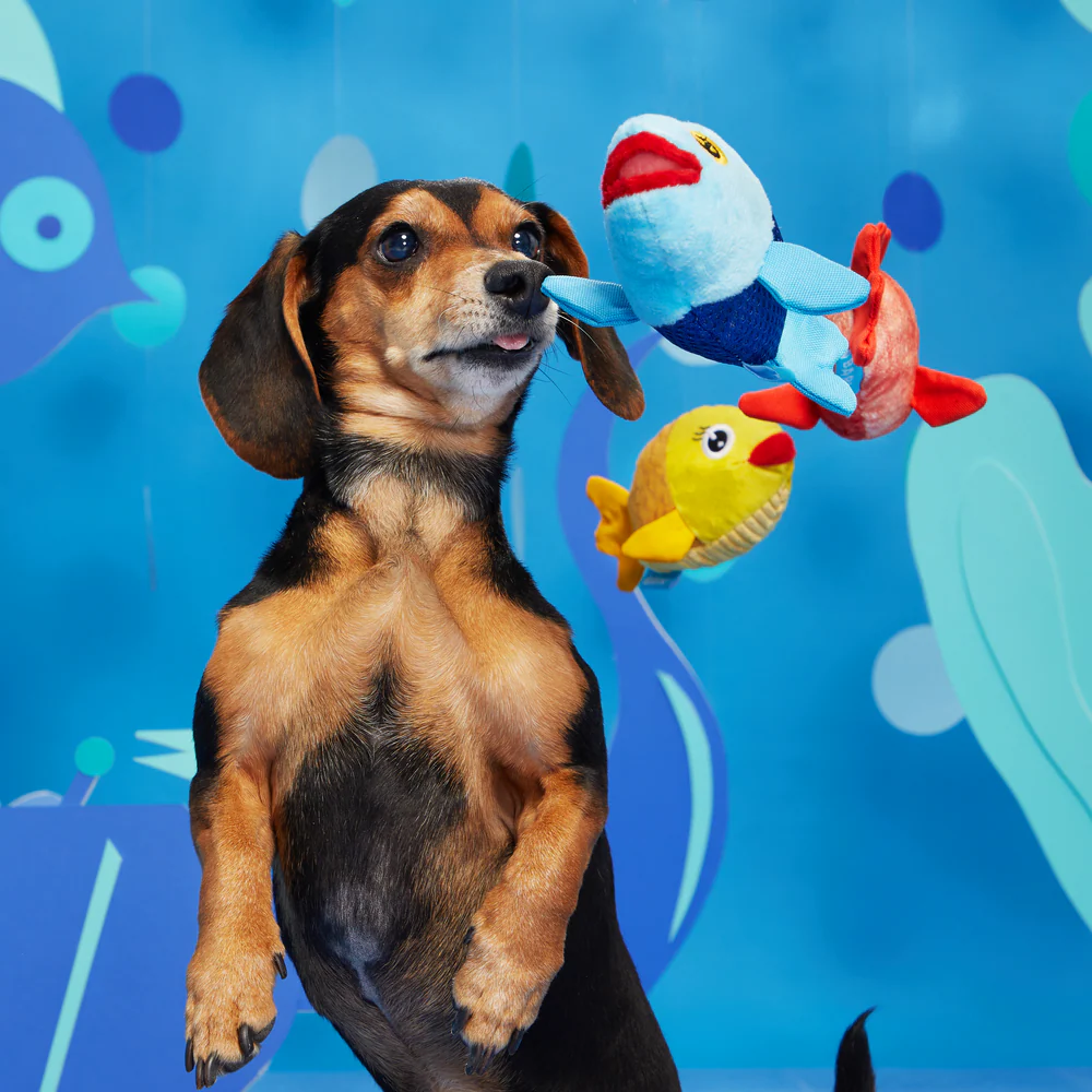 Bark The Groupers Dog Toy - Image 2