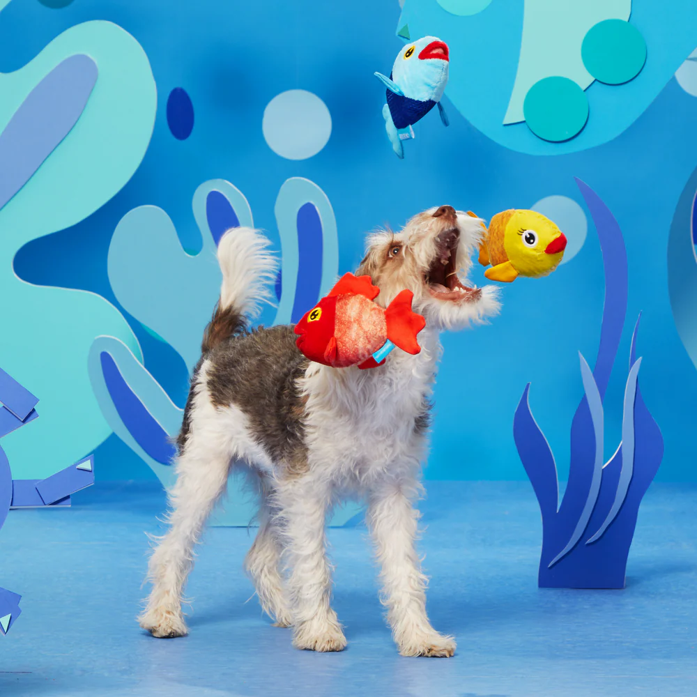 Bark The Groupers Dog Toy - Image 3