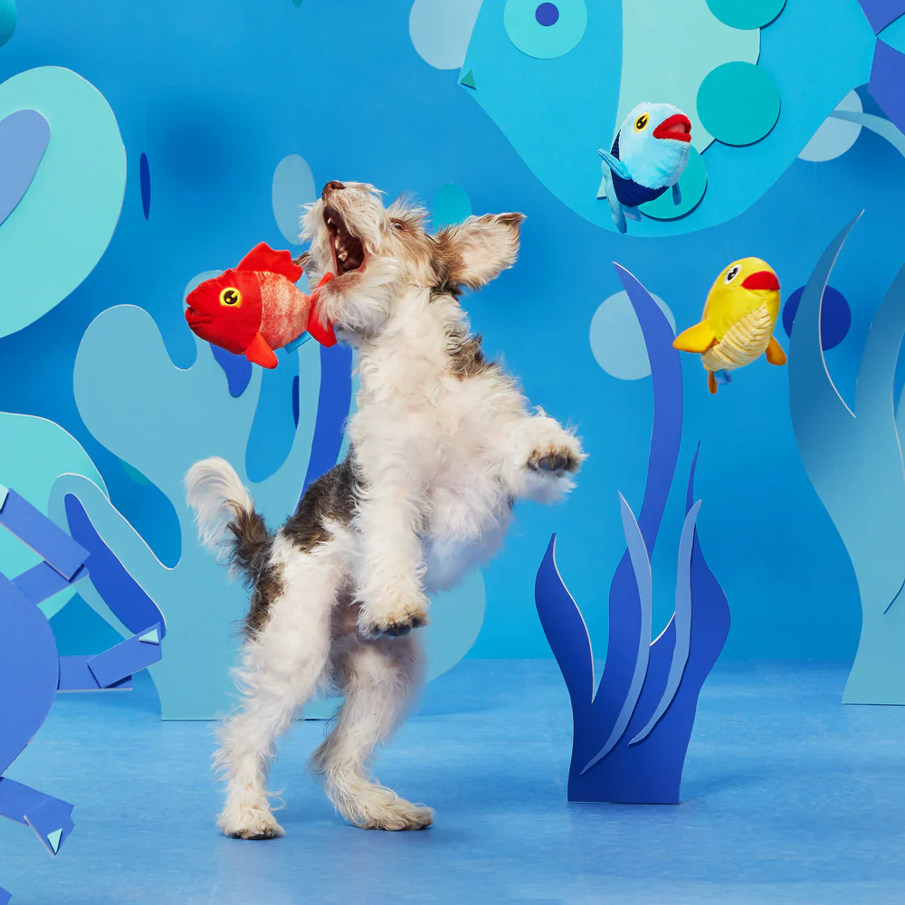 Bark The Groupers Dog Toy - Image 4