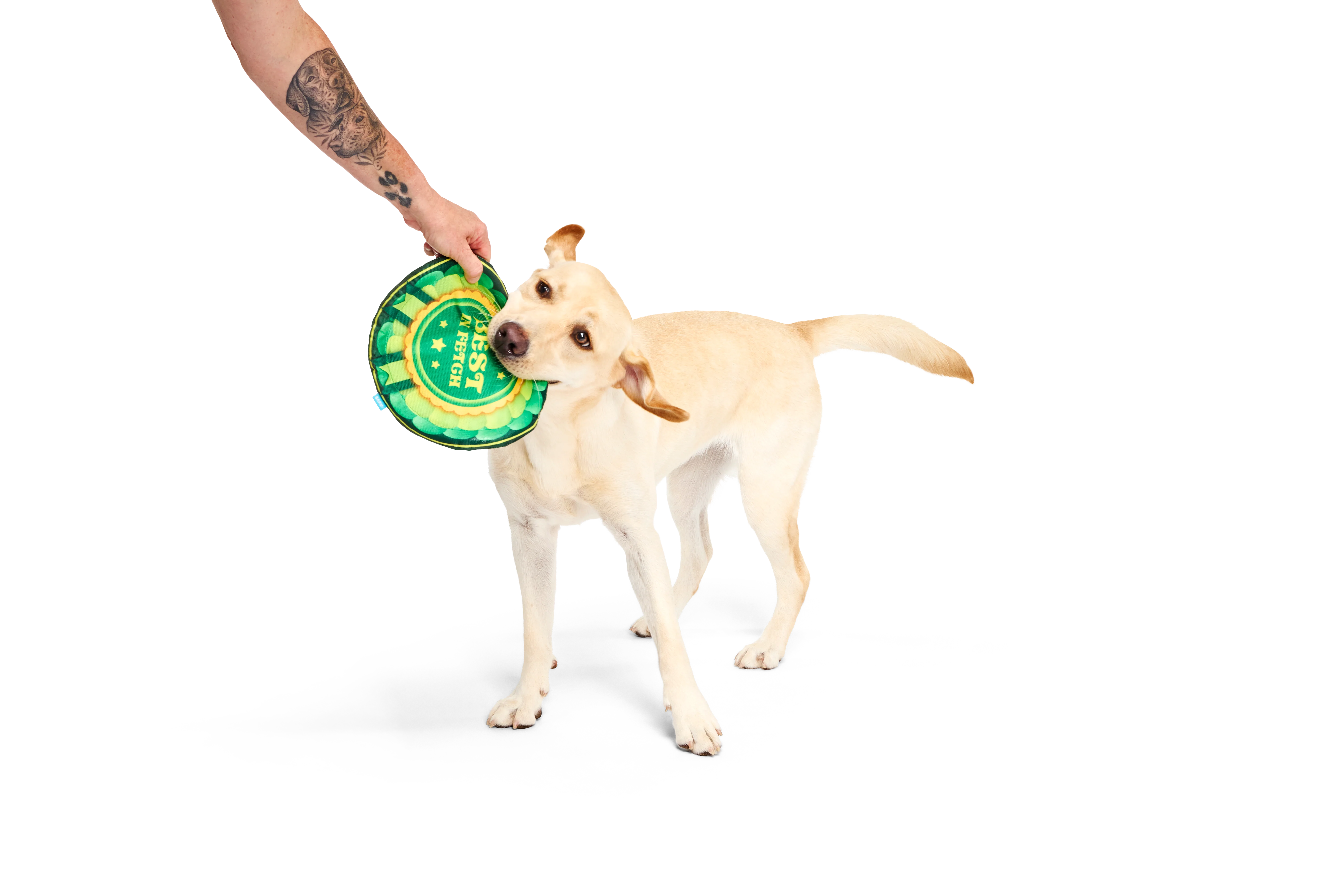 Bark Crufts Throwsette Disc