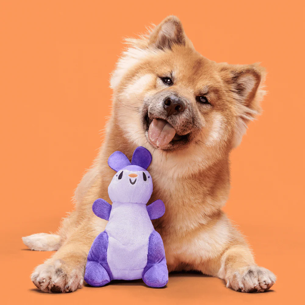 Bark Topanga Kanga Dog Toy - Image 3