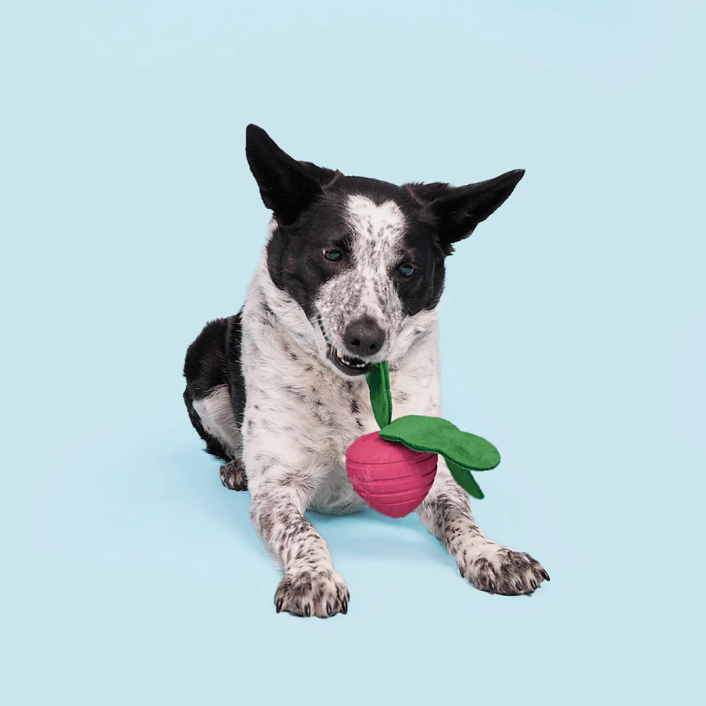 Bark Turnt Up Turnip Dog Toy - Image 2