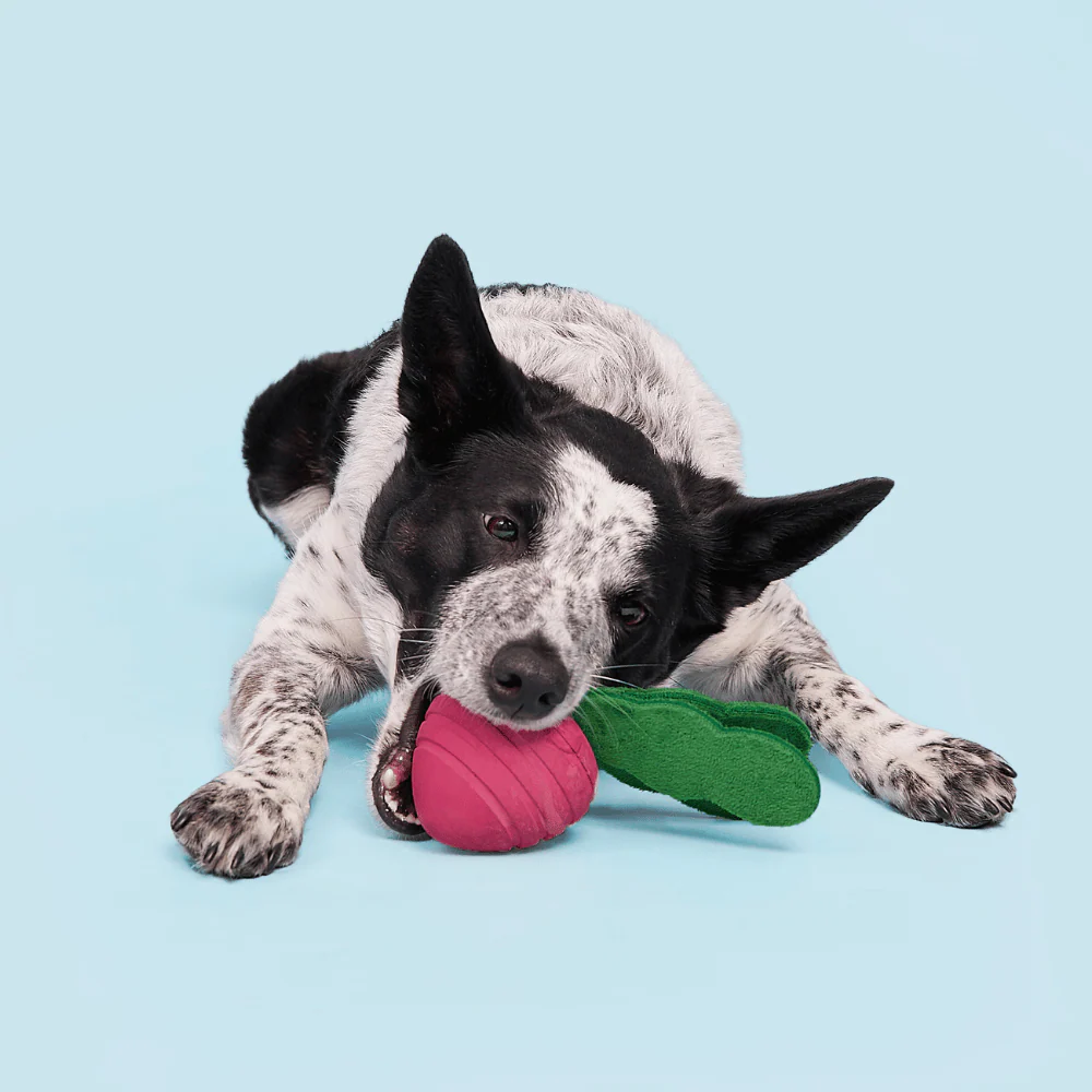 Bark Turnt Up Turnip Dog Toy - Image 3
