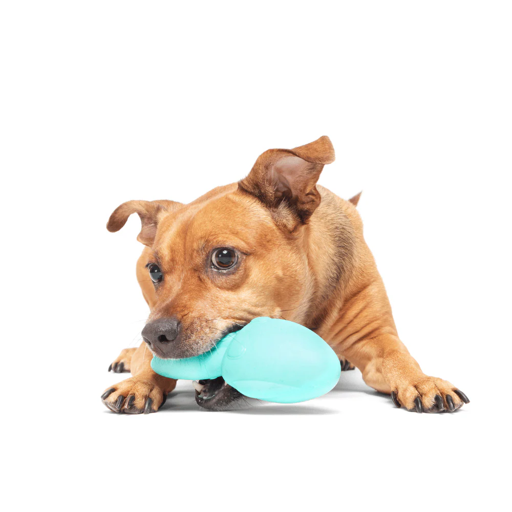 Bark Whiz Squid Dog Toy - Image 2