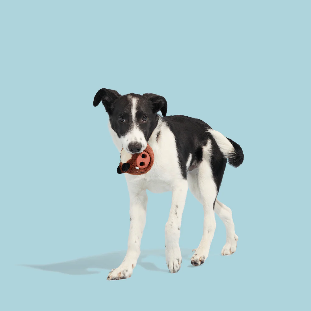 Bark Wild Boris Dog Toy - Image 2