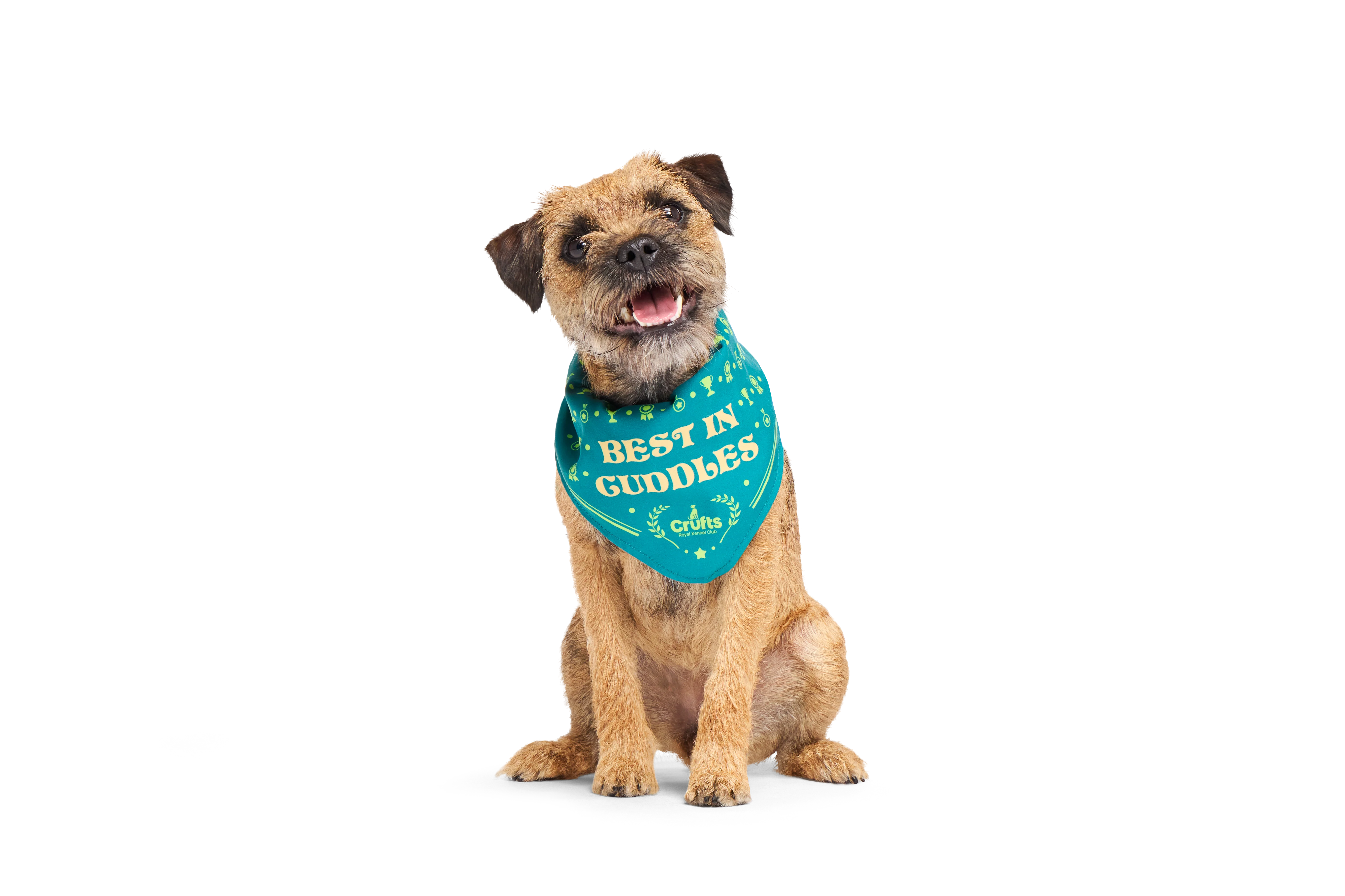 Bark Crufts Winner's Bandana