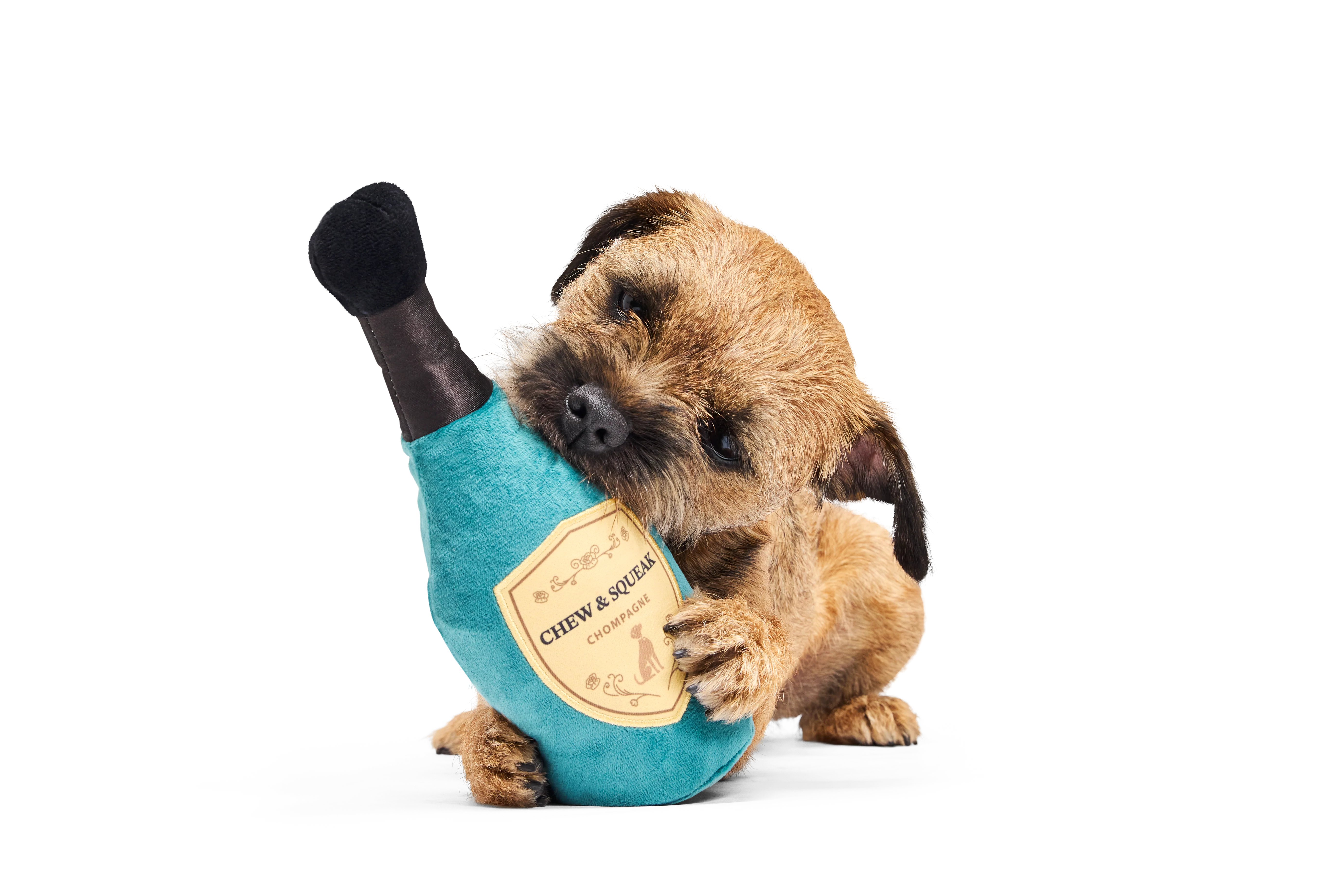 Bark Crufts Winner's Chompagne