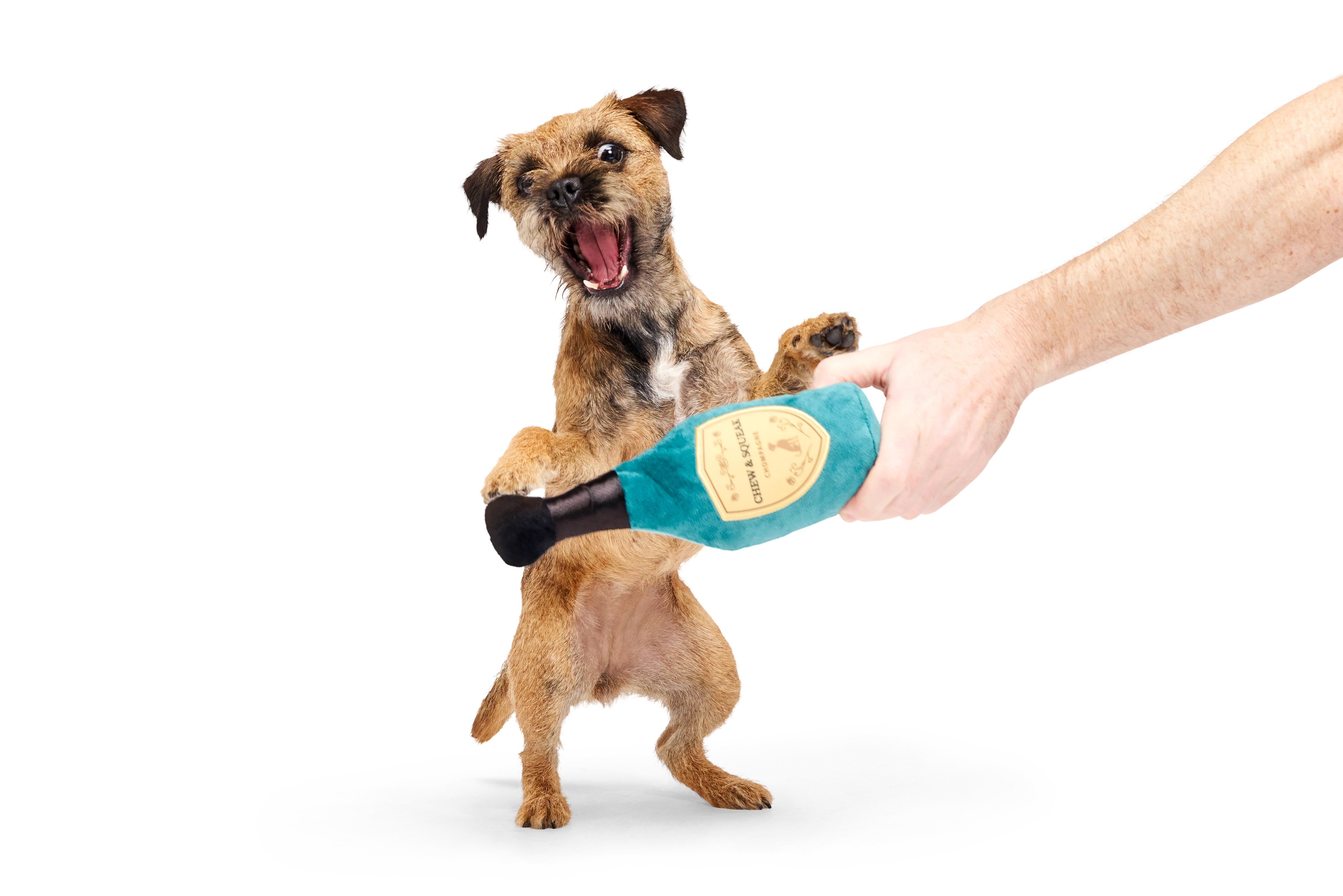 Bark Crufts Winner's Chompagne - Image 2