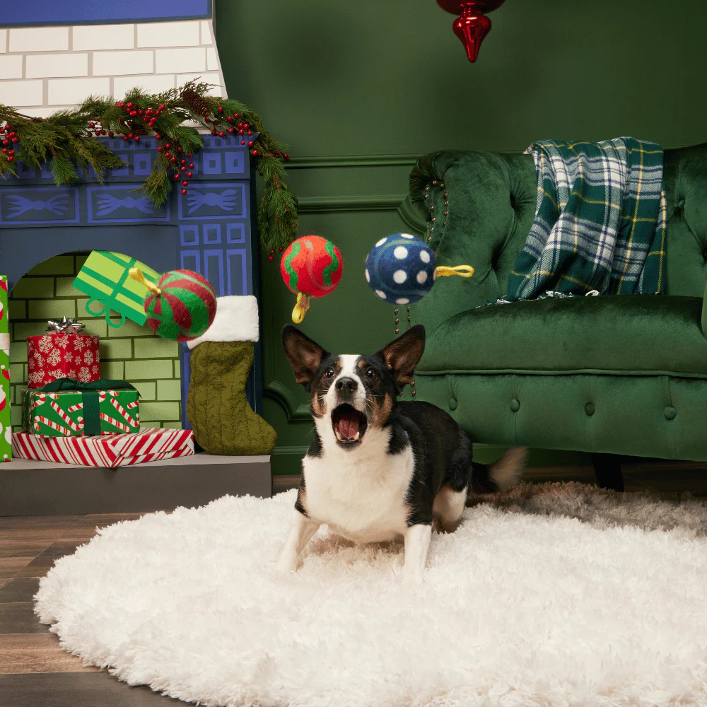 BARK Xmas Bauble Balls - Image 2