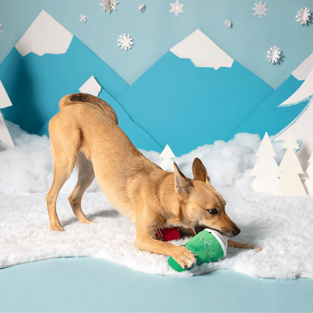 BARK Xmas Fa-la-la-la Lattes - Image 3