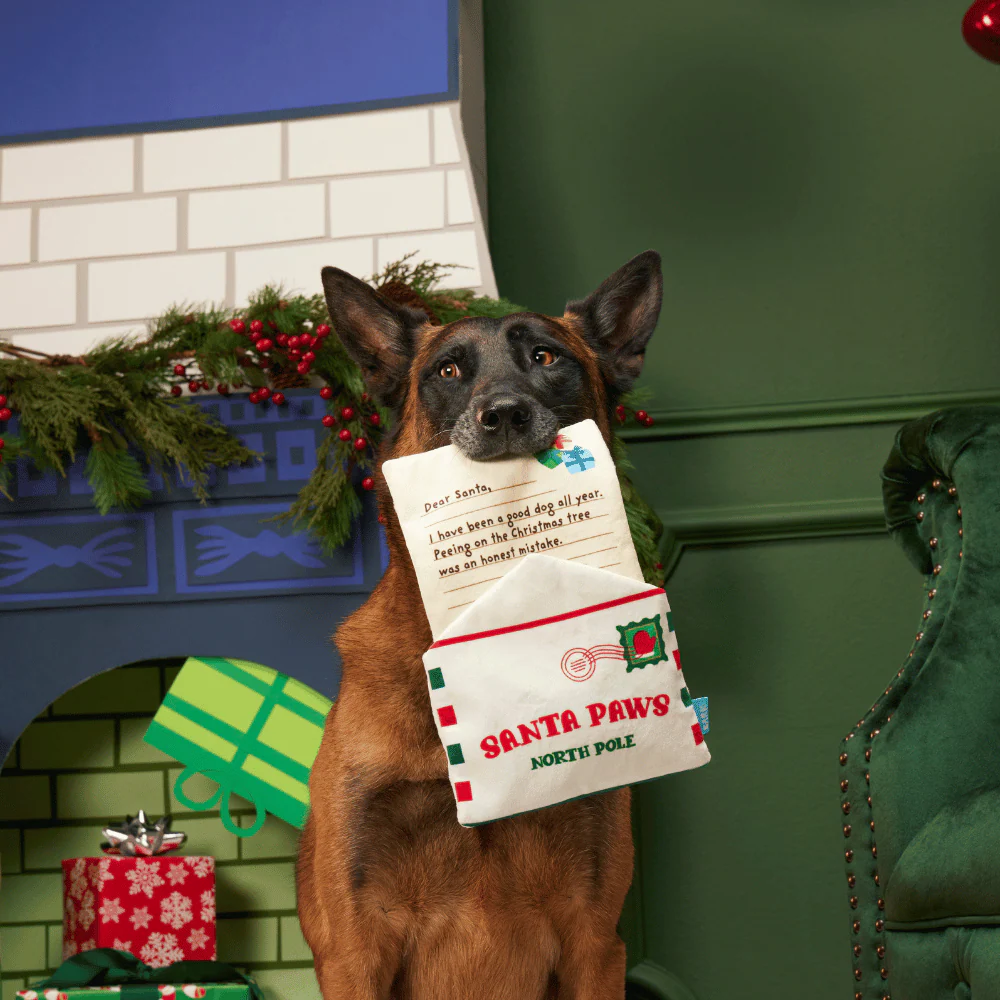 BARK Xmas Letter To Santa Paws - Image 3