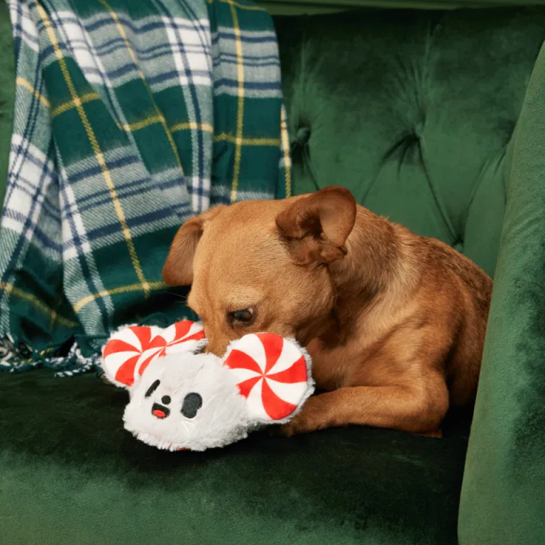 BARK Xmas Peppermice Slippies - Image 3
