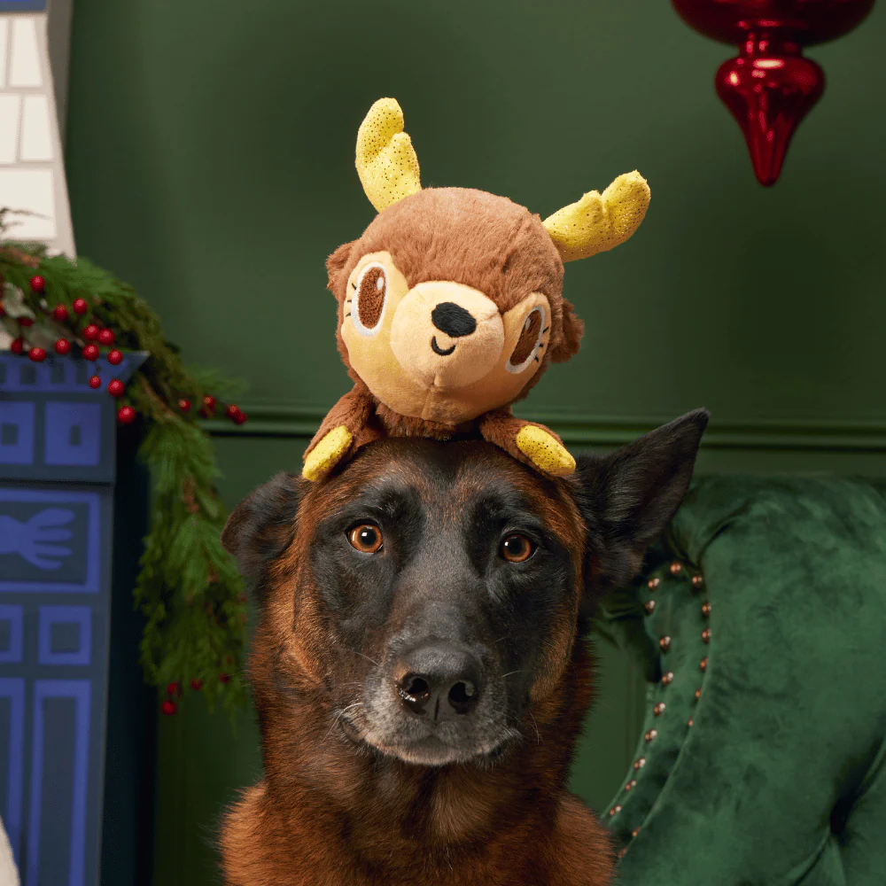 BARK Xmas Splootolph - Image 2