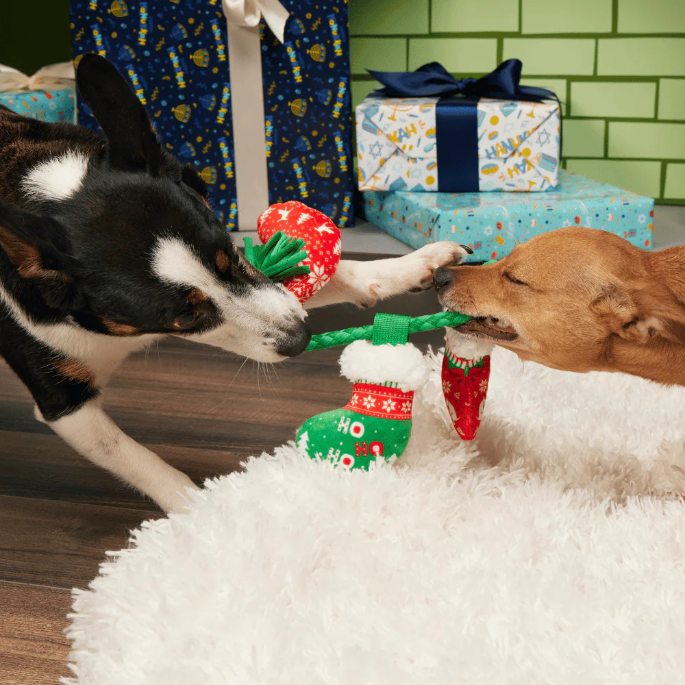 BARK Xmas Stocking Tuggers - Image 2