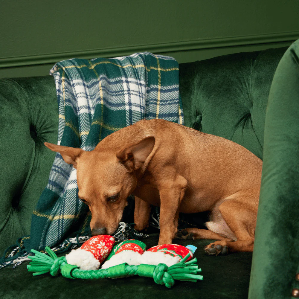 BARK Xmas Stocking Tuggers - Image 3