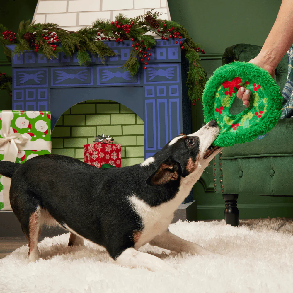 BARK Xmas Wreath Toss - Image 2