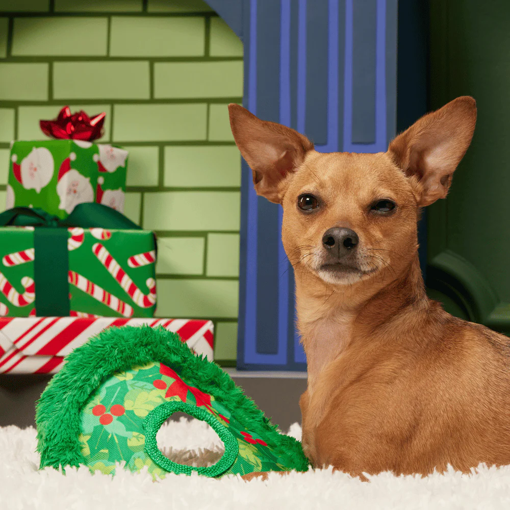 BARK Xmas Wreath Toss - Image 3