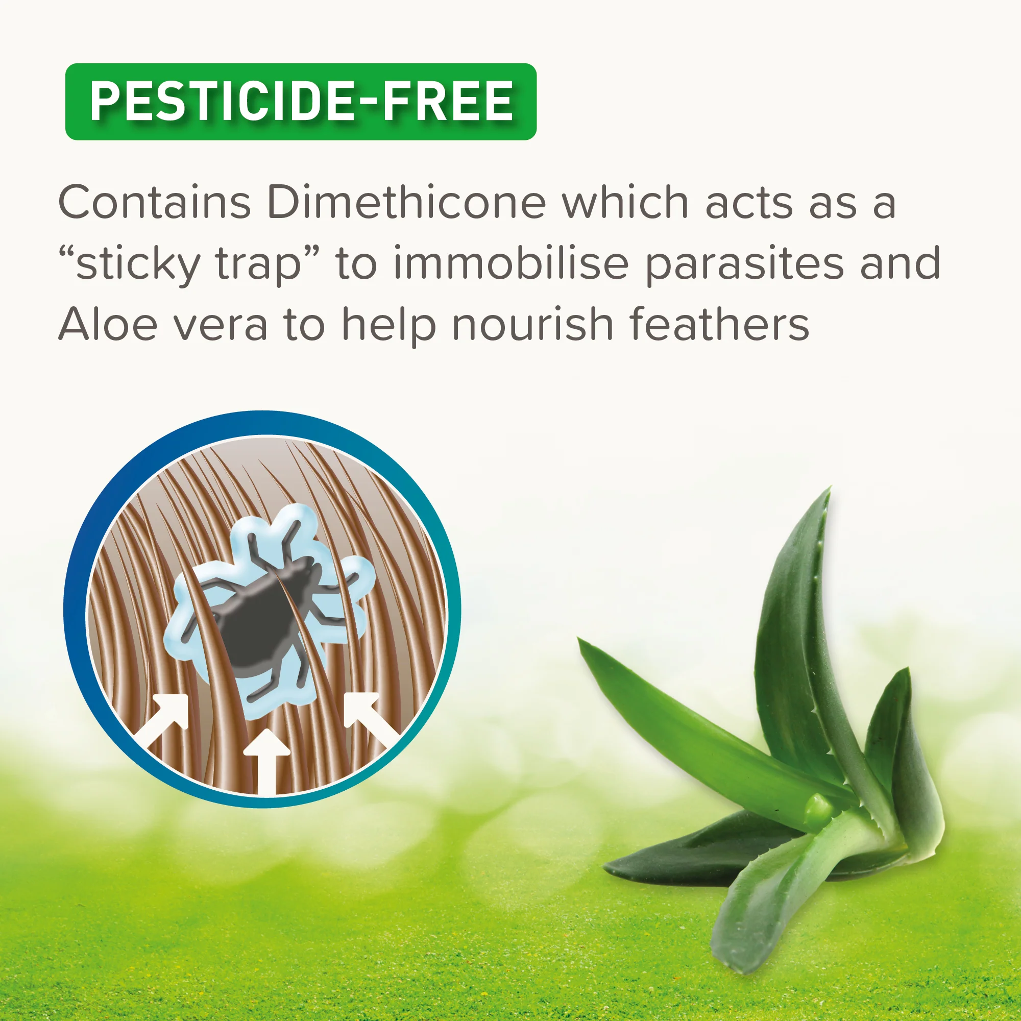 Beaphar DIMETHIcare Mite Blocker for Chickens & Aviary Birds 500ml - Image 3
