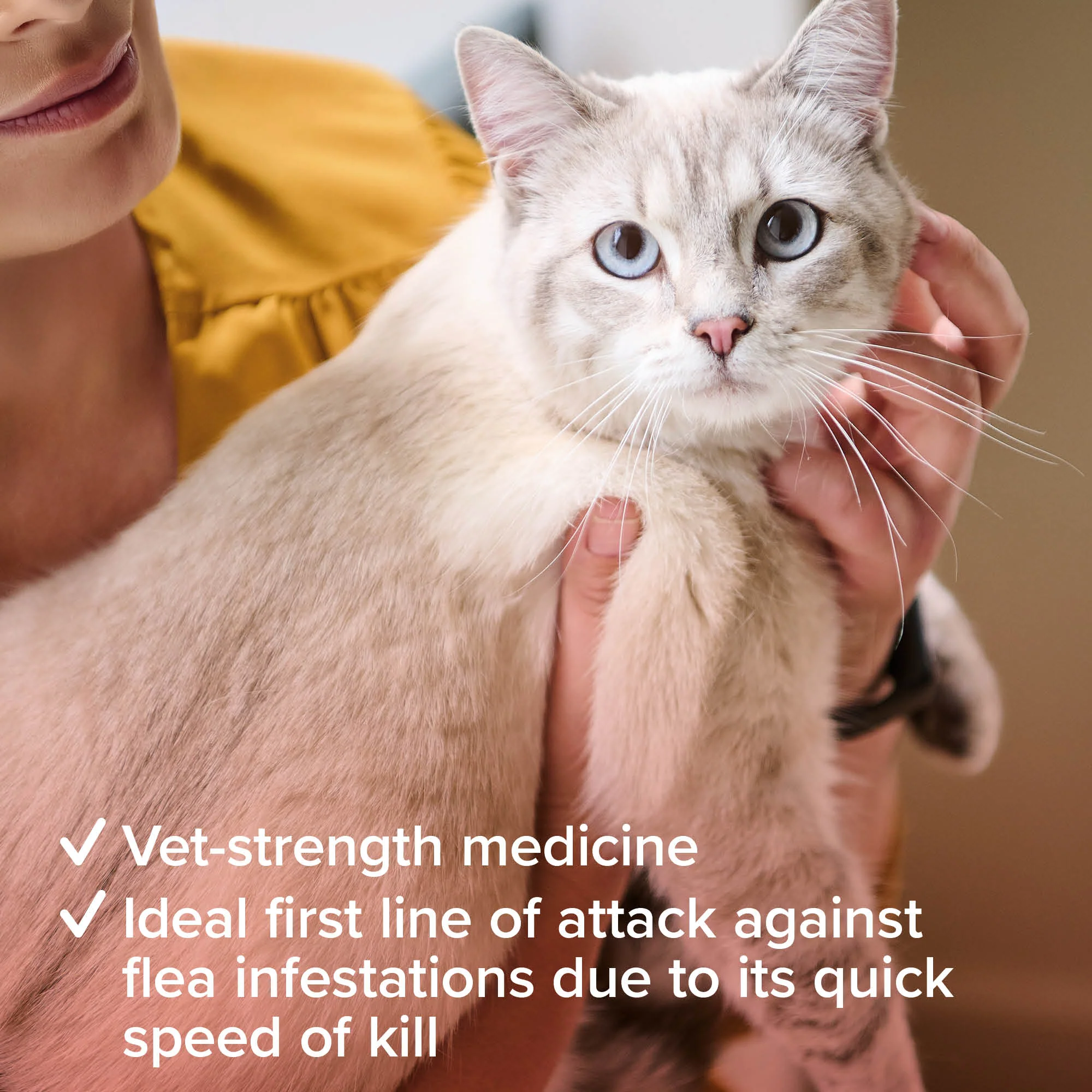 Beaphar Flea Tablets for Cats - 6 Tablets - Image 4