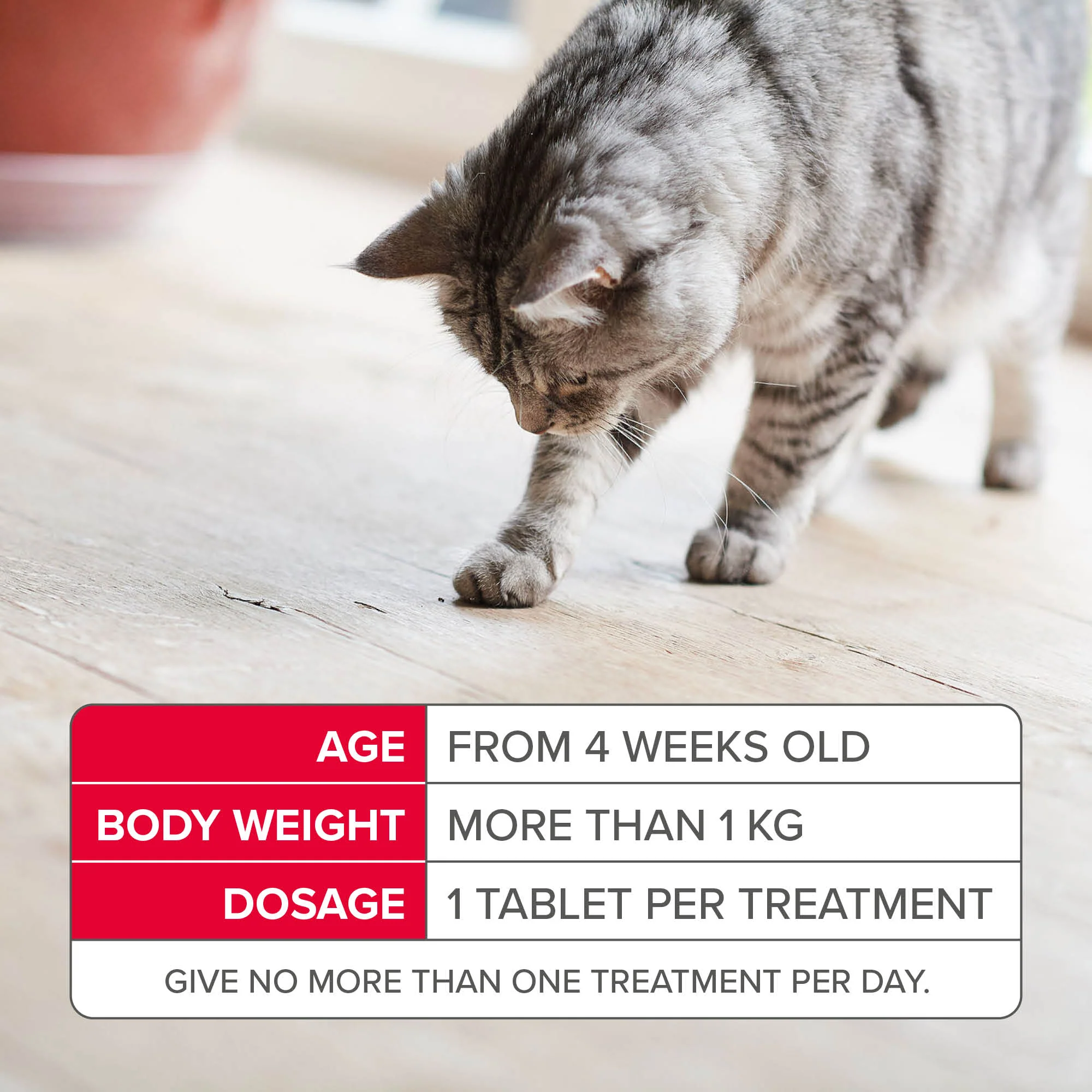 Beaphar Flea Tablets for Cats - 6 Tablets - Image 5