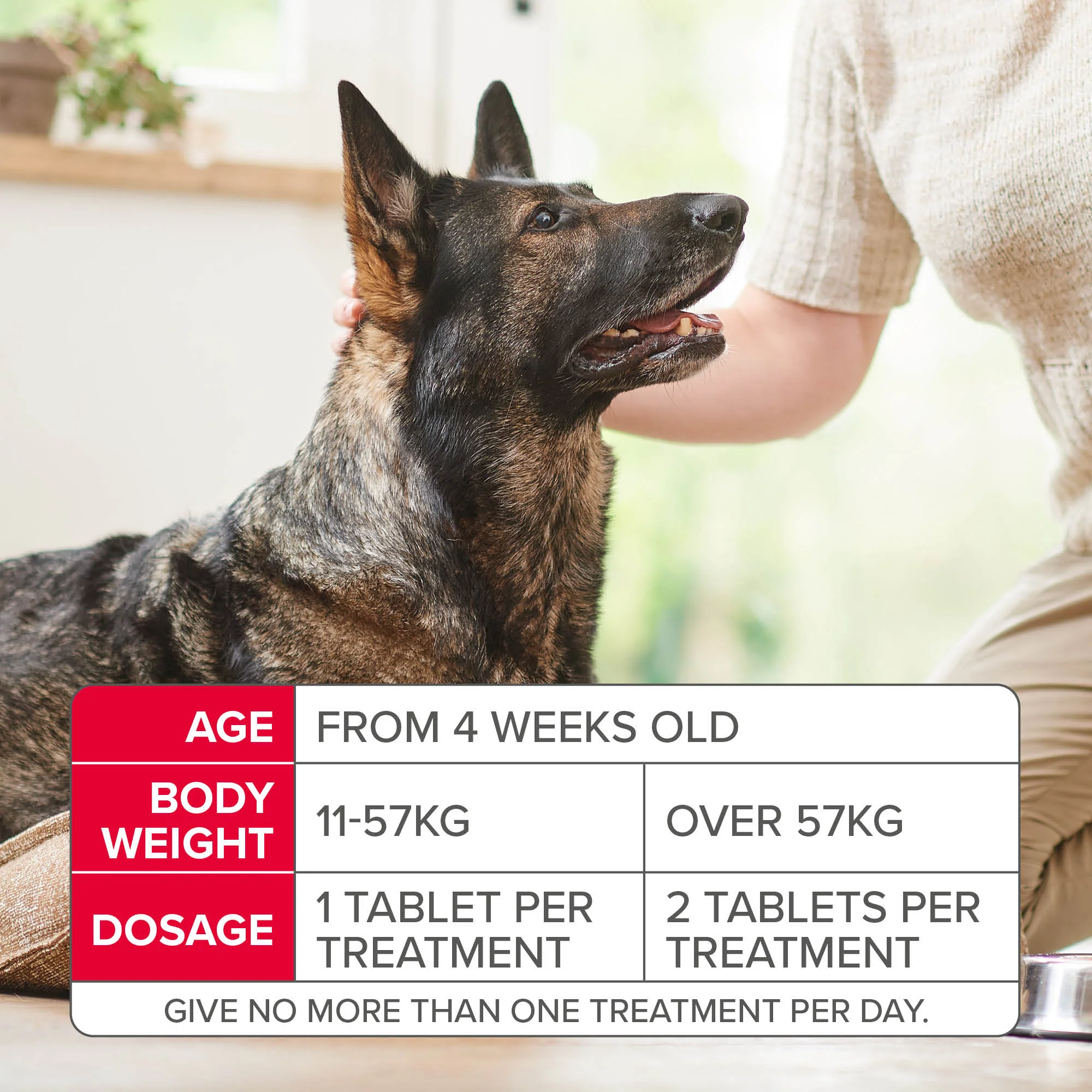 Beaphar Flea Tablets for Med/Large Dogs -  3 Tablets - Image 5