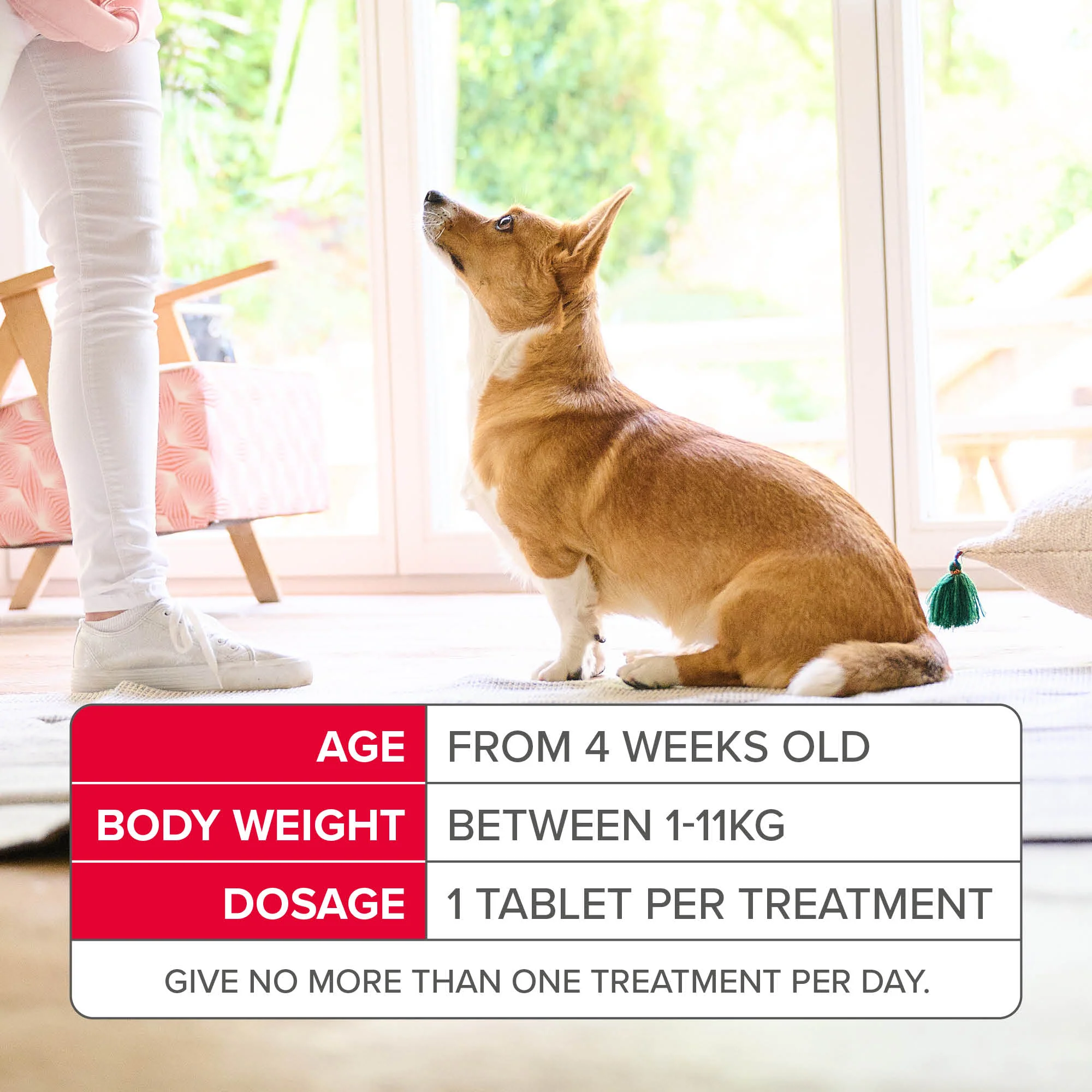 Beaphar Flea Tablets for Small Dogs -  3 Tablets - Image 5