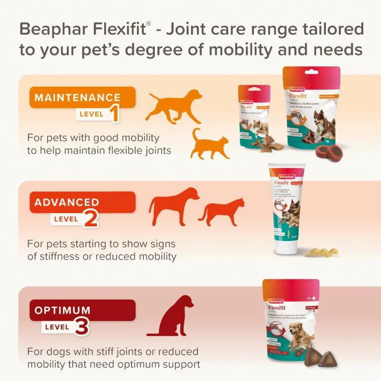 Beaphar Flexifit Cat & Dog Paste - Advanced Level 2 - Image 3