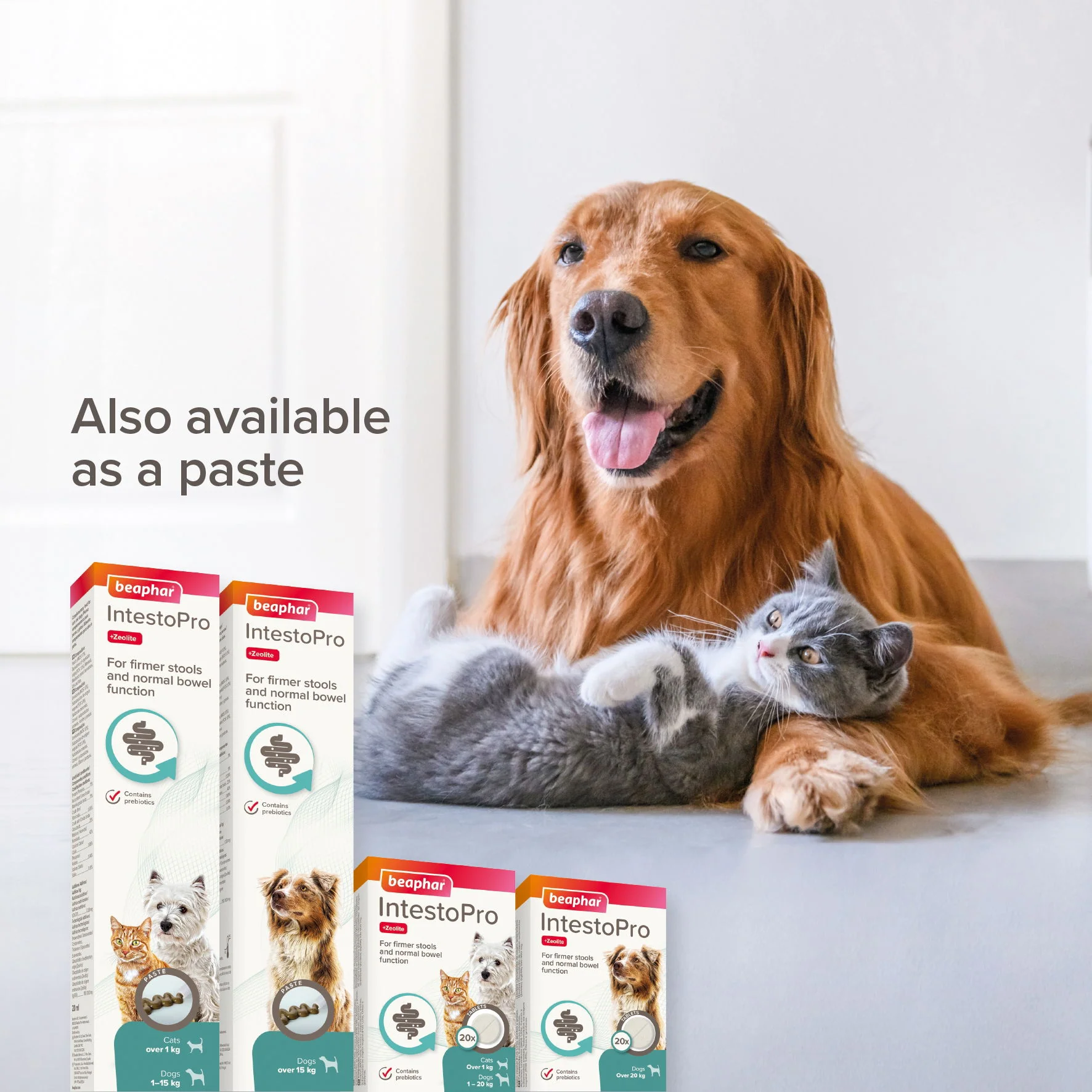 Beaphar IntestoPro Prebiotic Stool Firming Tablets for Medium & Large Dogs (over 20kg) - Image 2