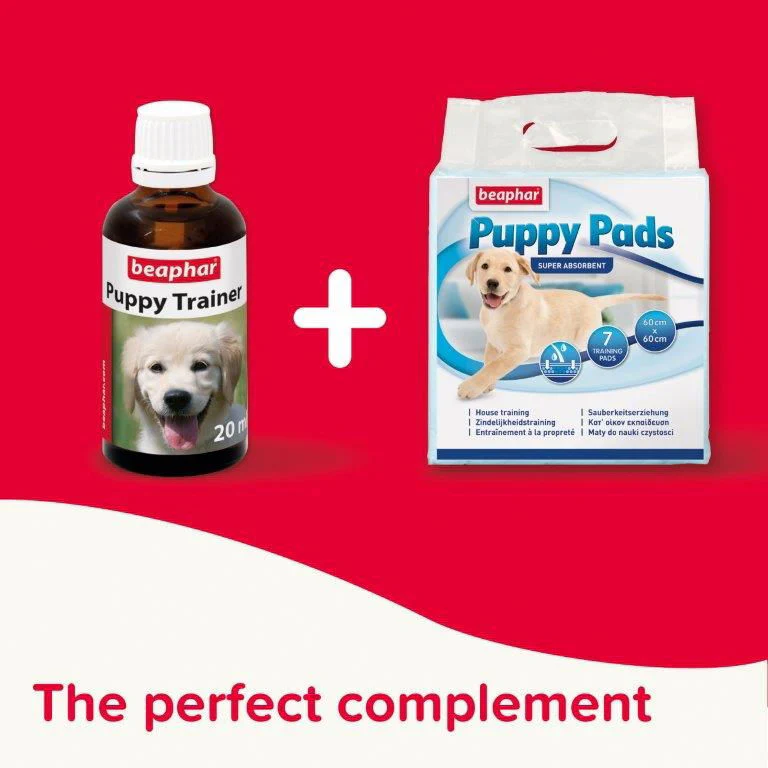 Beaphar Puppy Toilet Trainer 20ml - Image 5