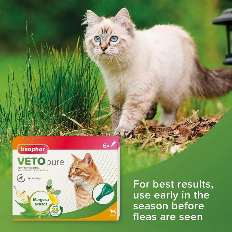 Beaphar VETOpure Plant-Based Protection Flea Spot-On for Cats 6 Pipettes - Image 2