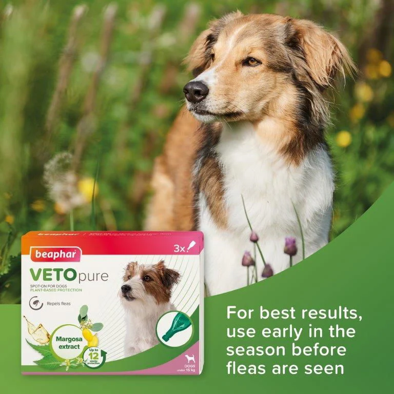 Beaphar VETOpure Plant-Based Protection Flea Spot-On for Dogs under 15 kg 3 Pipettes - Image 2