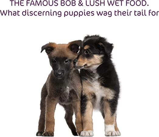 Bob And Lush Gf Puppy Wet Food In Tin Lamb 6x200g - Image 8
