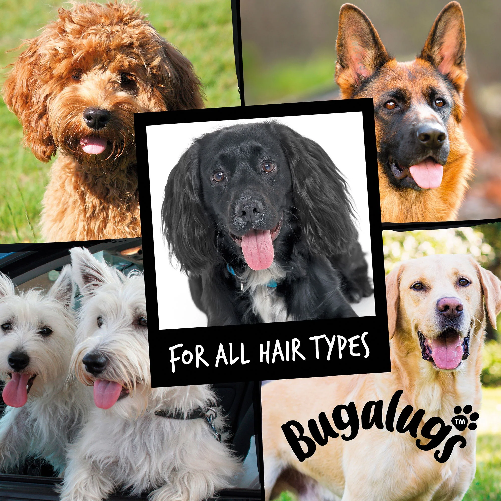 Bugalugs Stinky Dog Shampoo 250ml - Image 3