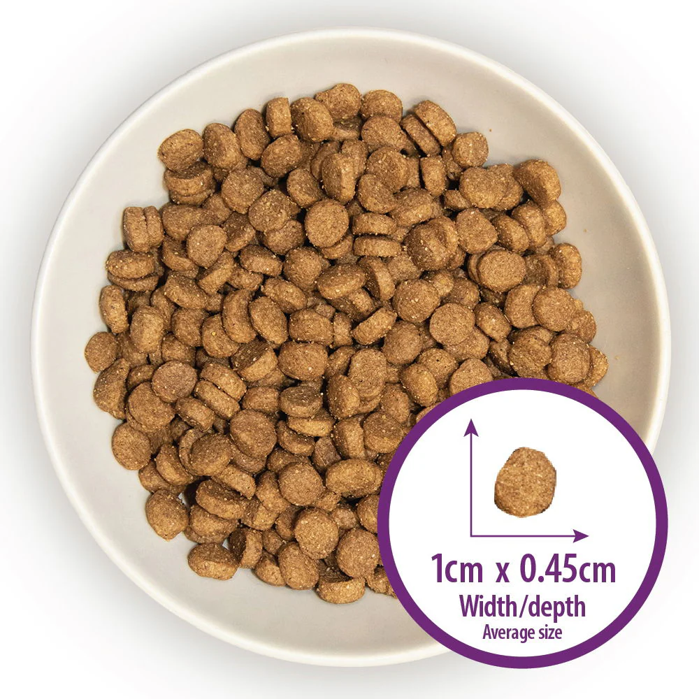 Burns Kitten Dry Cat Food Chicken & Rice 1.5kg - Image 3