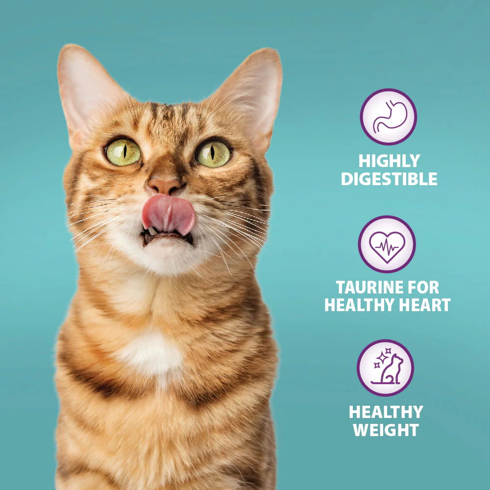 Burns Original Adult/Senior Dry Cat Food Chicken & Brown Rice 1.5kg - Image 2
